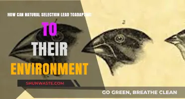 Natural Selection's Role in Species Adapting to Their Environments