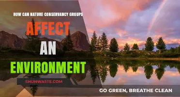 Nature Conservancy Groups: Transforming Ecosystems and Preserving Biodiversity Effectively