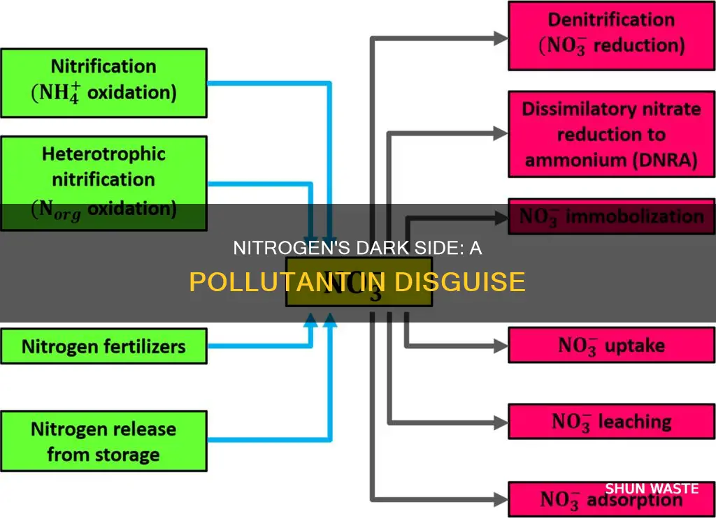 how can nitorgen be a pollutent