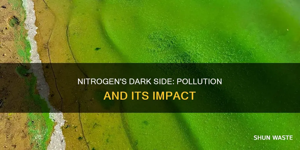 how can nitrogen be a pollutant