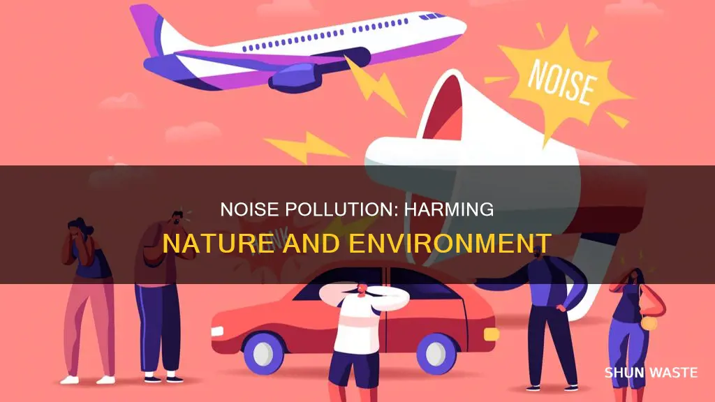 how can noise pollution affect the environment