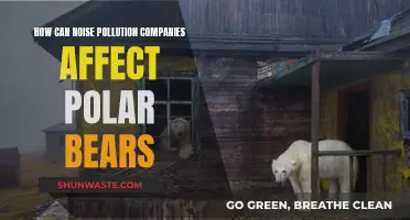 Noise Pollution's Impact on Polar Bears' Health and Habitat