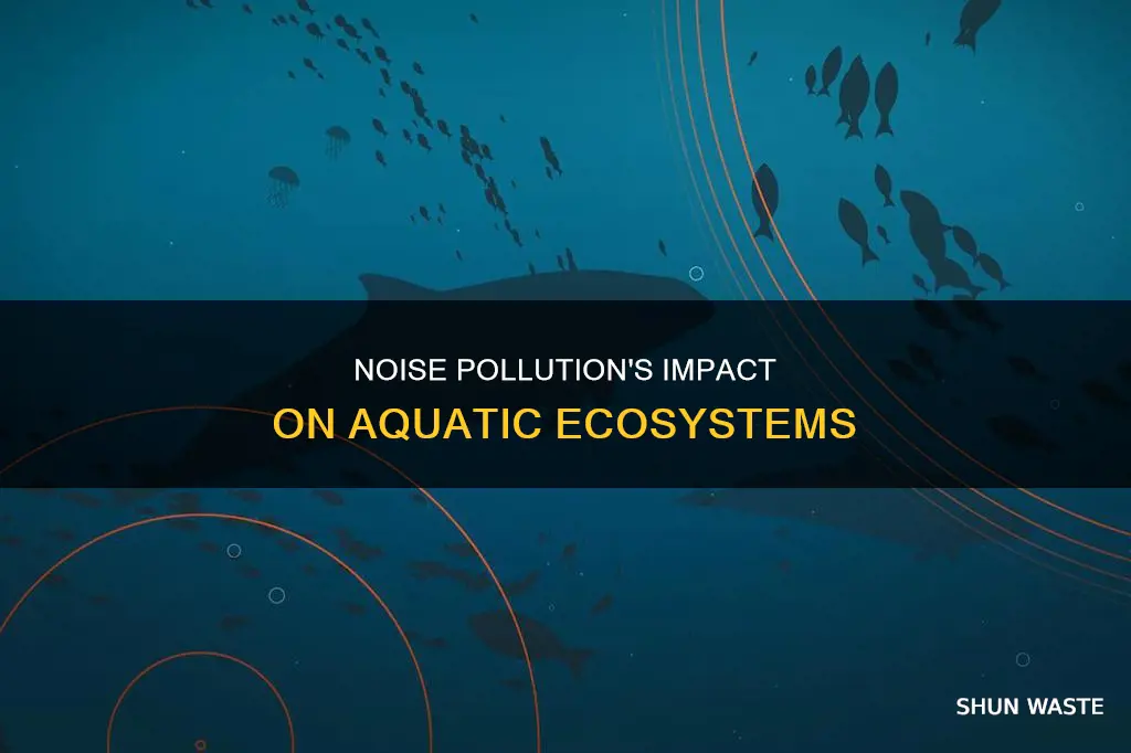 how can noise pollution impact aquatic ecosystems