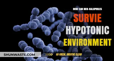 Surviving Hypotonic Stress: Strategies for Non-Halophiles in Low-Salt Environments