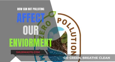 Not Polluting: A Healthier, Greener Future for Our Environment