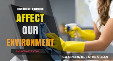 Reducing Pollution: Positive Impacts on Our Environment and Future