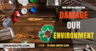 Skipping Recycling: How It Seriously Harms Our Planet and Future