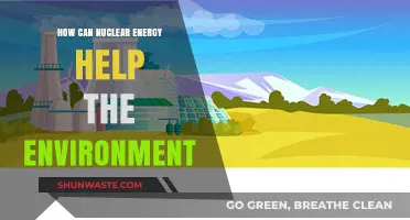 Nuclear Energy: A Sustainable Solution for Environmental Conservation and Clean Power
