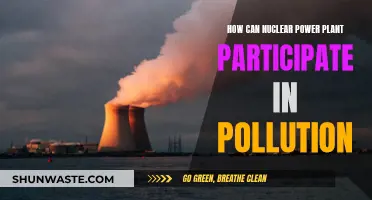 Nuclear Power Plants: Unseen Polluters of Our Environment