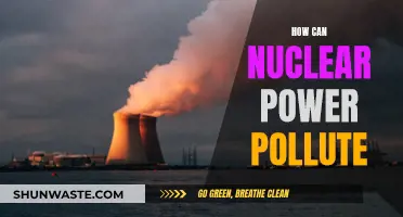 Nuclear Power's Pollution Paradox: Harming Nature, Helping Humans