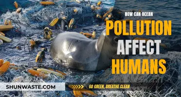 Ocean Pollution: Harming Humans, Destroying Marine Ecosystems