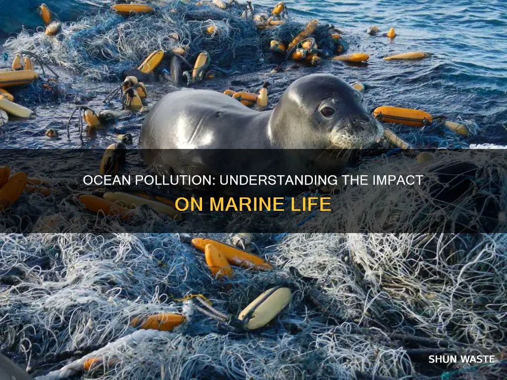 how can ocean pollution affect marine life