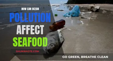 Ocean Pollution: Impacting Seafood, Our Health and Planet