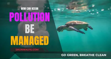 Ocean Pollution: Strategies for Sustainable Management