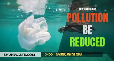 Ocean Pollution: Reducing Human Impact