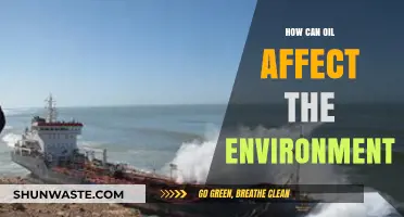 Oil's Environmental Impact: Pollution, Wildlife Threats, and Ecosystem Destruction Explained