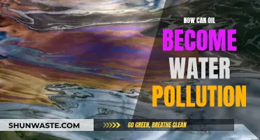 Oil Spill Disaster: Water Pollution Explained