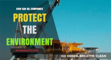 Sustainable Practices: How Oil Companies Can Safeguard Our Environment