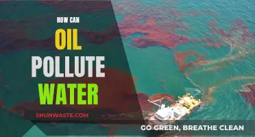 Oil Spill Disaster: Water Pollution Explained