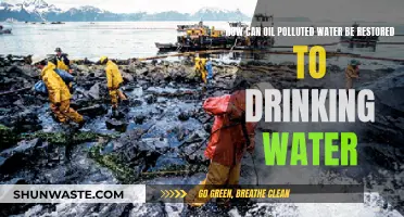 Restoring Oil-Polluted Water: Advanced Purification Techniques