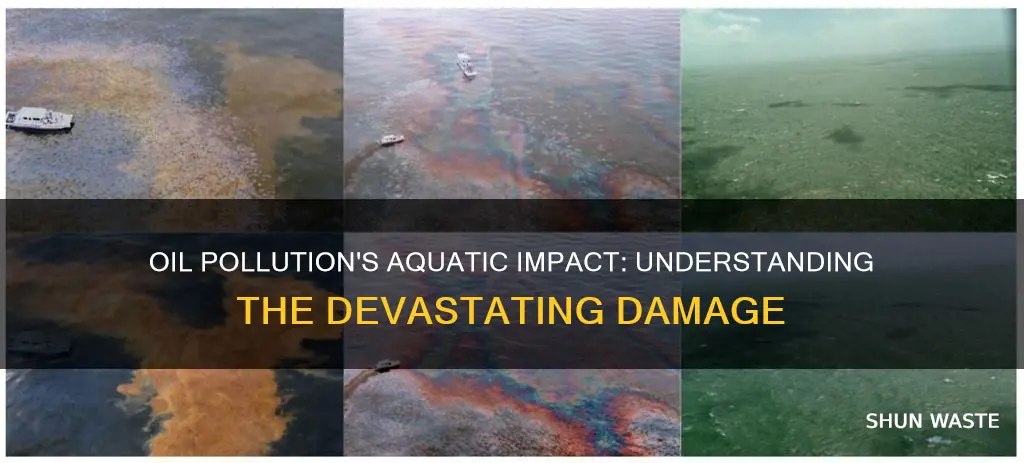 how can oil pollution damage the aquatic environment