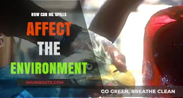 Devastating Impacts: How Oil Spills Destroy Ecosystems and Wildlife
