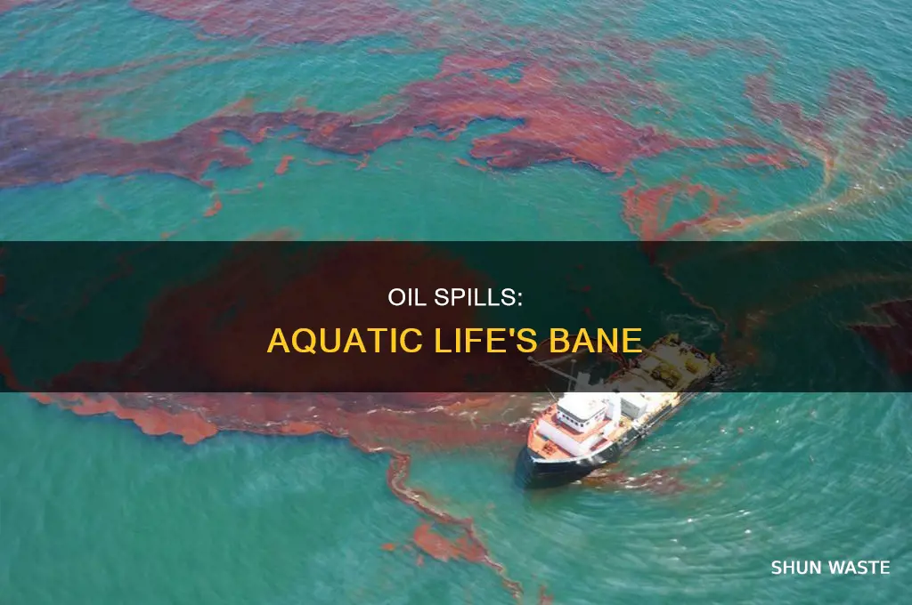 how can oil spills cause water pollution