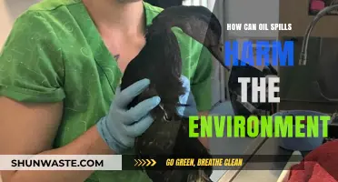 Devastating Impacts: How Oil Spills Destroy Ecosystems and Wildlife