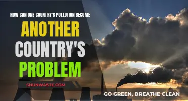 Pollution's Global Reach: Country Borders Mean Little to Smog