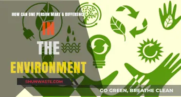 Empowering Change: One Person's Impact on Environmental Sustainability