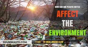 One Plastic Bottle's Impact: Uncovering Environmental Consequences and Solutions