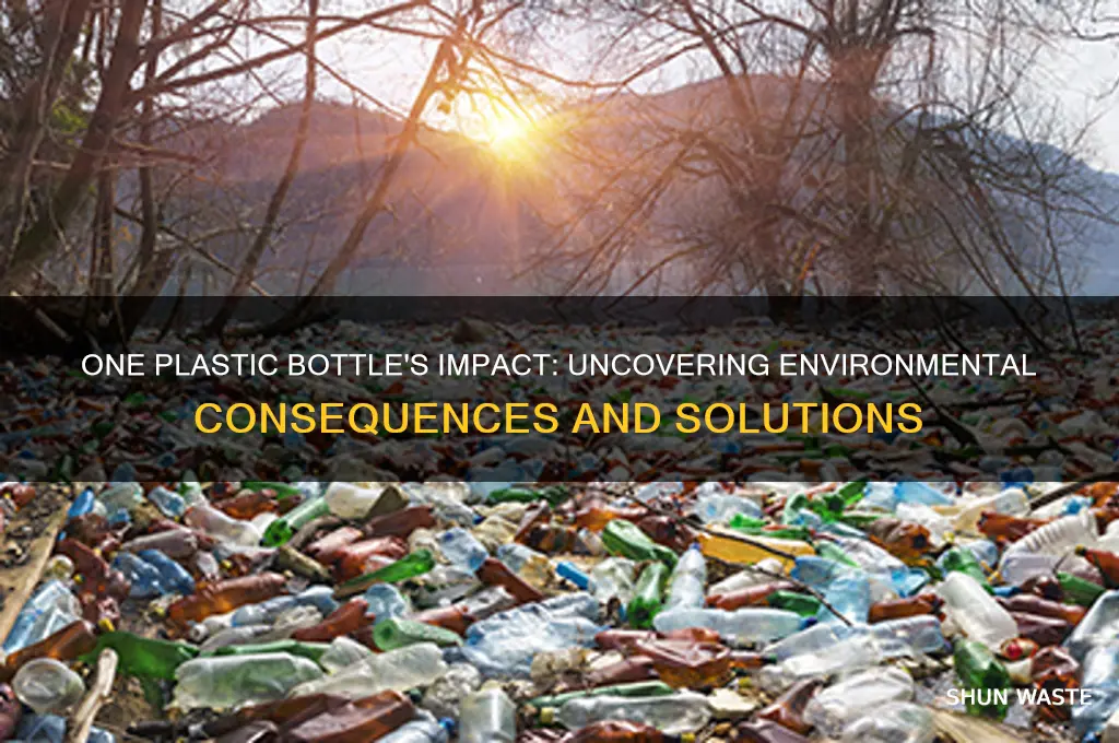 how can one plastic bottle affect the environment
