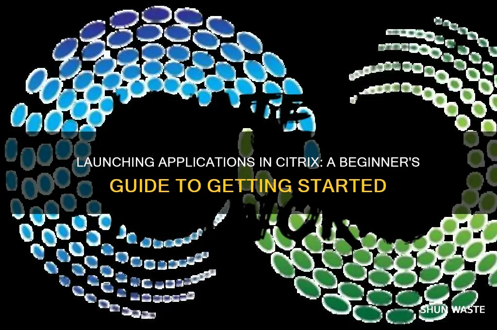 how can one start an application within a citrix environment