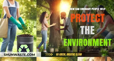 Simple Eco-Friendly Actions: How Everyday Heroes Can Save Our Planet