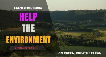 Organic Farming: A Sustainable Solution for Environmental Preservation and Health