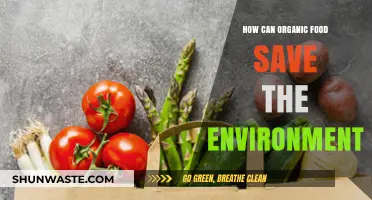 Organic Food: A Sustainable Choice to Protect Our Environment