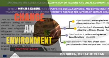 Organisms' Impact: Transforming Ecosystems and Shaping Environmental Change