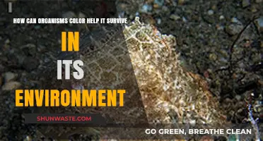 Nature's Palette: How Organisms Use Color for Survival and Camouflage
