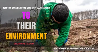 Strategic Environmental Adaptation: How Organizations Thrive Amidst Dynamic Changes