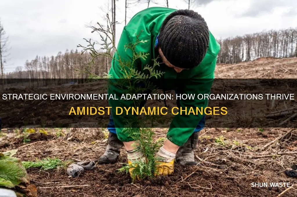 how can organizations strategically respond to their environment