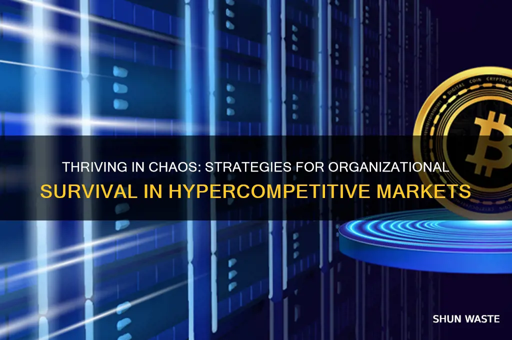 how can organizations survive in a hypercompetitive environment