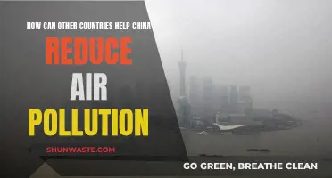 International Efforts to Reduce Air Pollution in China