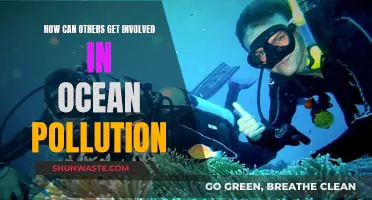 Ocean Pollution: Ways to Get Involved and Make a Difference