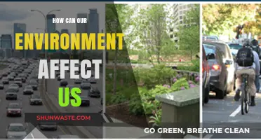 Environmental Influences: Shaping Our Health, Behavior, and Daily Lives
