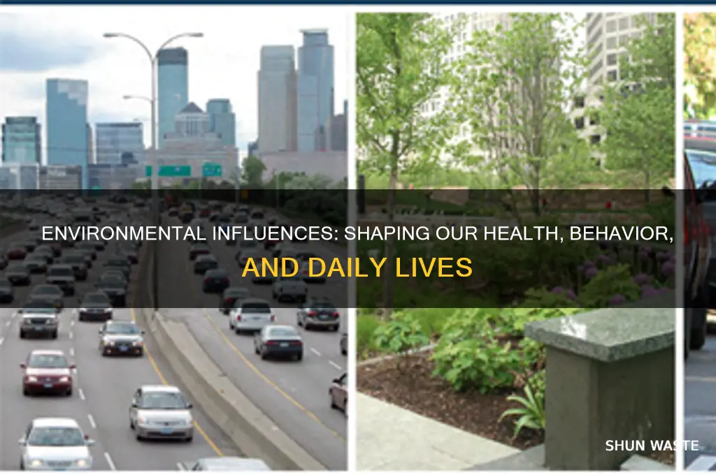 how can our environment affect us