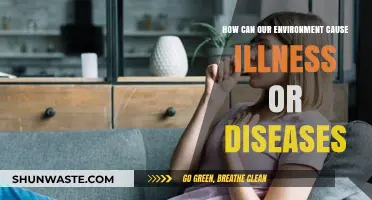 Environmental Triggers: How Surroundings Impact Health and Cause Diseases