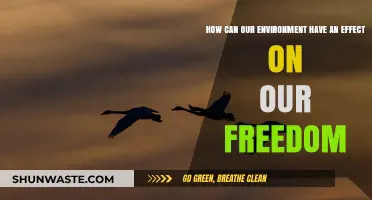 Environment's Impact: Shaping Freedom Through Surroundings and Societal Constraints