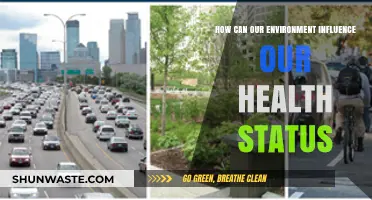 Environmental Factors: Uncovering Their Impact on Our Health and Well-being