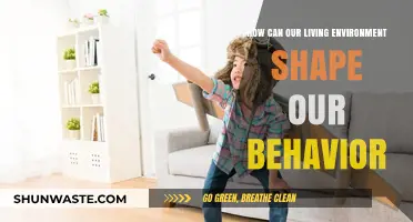 Environment's Impact: How Surroundings Mold Our Daily Behavior and Choices