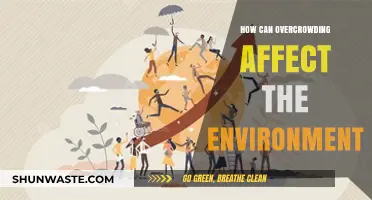 Overcrowding's Impact: Environmental Consequences of Population Density Explored
